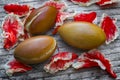 Argan fruit Argania spinosa, nuts, this seeds is used in cosme