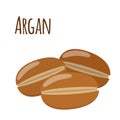 Argan fruit. Herbal cosmetics, eco therapy. Natural product. Flat style.