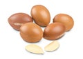 Argan fruit on white