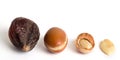 Argan fruits