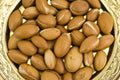 Argan fruits