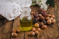 Argan fruits and oil Royalty Free Stock Photo