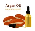 Argan natural oil. Essential oil, cosmetics, spa, aromatherapy