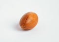 Argan nut on isolated white background. Moroccan Argania Spinosa seed for the production of oil Royalty Free Stock Photo