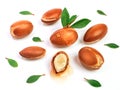 Argan nuts with green leaves on an isolated white background. Chopped argan nut with a drop of oil. Whole and half Royalty Free Stock Photo