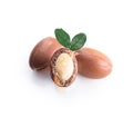 Argan nuts isolated. Three argan nuts with green leaves on an isolated white background. Chopped argan nut with a drop