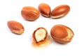 Argan nuts on an isolated white background. Chopped argan nut with a drop of oil. Whole and half Moroccan Argania Royalty Free Stock Photo