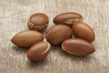 Argan nuts