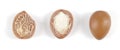 Argan nuts in a row on a white background.