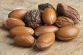 Argan nuts