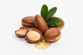 Argan oil Royalty Free Stock Photo