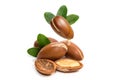 Argan oil Royalty Free Stock Photo