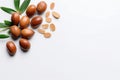 Argan seeds isolated on a white banner background. Cosmetics and natural oils background Generative AI.