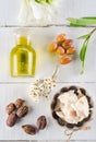 Argan and shea nut Royalty Free Stock Photo