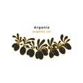 Argania tree pattern. Vector oil bean Graphic card Royalty Free Stock Photo