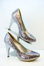 Argentate stiletto high heels