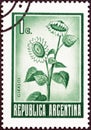 ARGENTINA - CIRCA 1970: A stamp printed in Argentina shows Sunflowers, circa 1970.