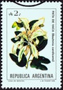 ARGENTINA - CIRCA 1988: A stamp printed in Argentina from the `Flowers ` issue shows Brazilian orchid tree Bauhinia candicans