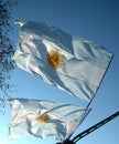 Two Argentine flags moving in the blue sky. Royalty Free Stock Photo