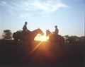 Argentina gaucho cowboy on horseback at sunset