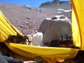 Argentina - Famous peaks - Hiking in Cantral Andes - Peaks around us -rest in the camp Royalty Free Stock Photo