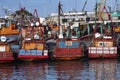 Argentina Mar del Plata port of artisanal fishermen moored