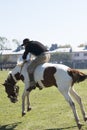 Argentina, Gaucho -cowboy-rodeo-riding on a wild horse in a patron saint festival in South America, has also been