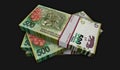 Argentina Peso money banknotes pack illustration