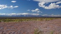 Argentina - Rio de las Patos - river near the city of Barreal