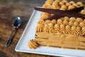 Argentine chocolate and dulce de leche cake argentinian art Royalty Free Stock Photo