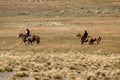 Argentine cowboy (gaucho) walks his horse past camera, in Patagonia Royalty Free Stock Photo