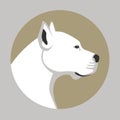 Argentine dog head vector illustration style flat