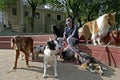 Argentine dog sitter in the city Buenos Aires Royalty Free Stock Photo