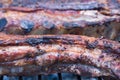 Argentine meat on the Grill Royalty Free Stock Photo