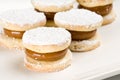 Argentinean Alfajor Royalty Free Stock Photo