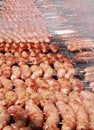 Argentinean barbecue sausages Royalty Free Stock Photo