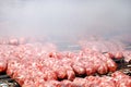Argentinean barbecue sausages Royalty Free Stock Photo
