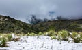 Argentinian Andes mountains during summer Royalty Free Stock Photo