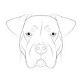Argentinian Dogo dog easy coloring cartoon vector illustration. Isolated on white background