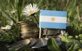 Argentinian flag with stack of money coins with grass Royalty Free Stock Photo