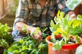 Argentinian man is actively engaged in caring for plants in an urban garden setting. Concept of latin people and sustainability