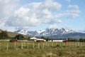 Argentinian Patagonia