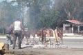 Argentinian typical barbecue