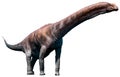 Argentinosaurus Royalty Free Stock Photo