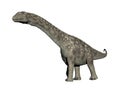 Argentinosaurus dinosaur - 3D render Royalty Free Stock Photo