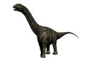 Argentinosaurus dinosaur - 3d render Royalty Free Stock Photo