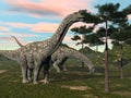 Argentinosaurus dinosaur eating tree - 3D render Royalty Free Stock Photo