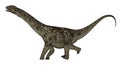 Argentinosaurus dinosaur running - 3D render Royalty Free Stock Photo