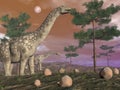 Argentinosaurus dinosaurs - 3D render Royalty Free Stock Photo