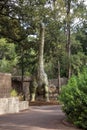 Argentinosaurus display model in Perth Zoo Royalty Free Stock Photo